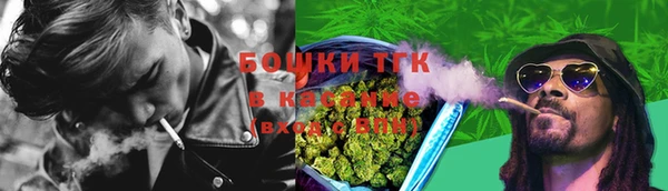 гидра Армянск