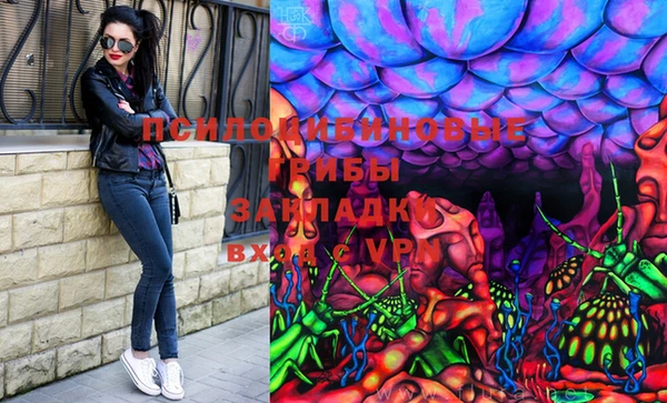 ешки Арсеньев