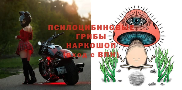 ешки Арсеньев